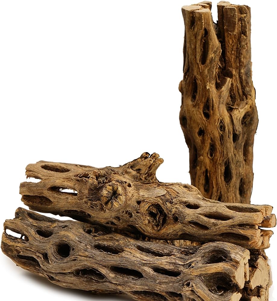 NilocG Aquatics 3 Pieces 5-6″ Long Natural Cholla Wood for Aquarium Decoration Review
