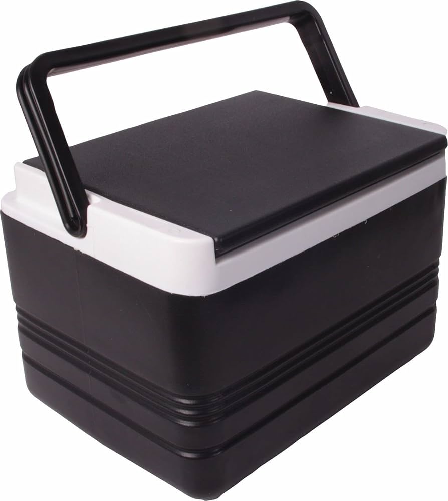 Buggies Unlimited Golf Cart Cooler Review