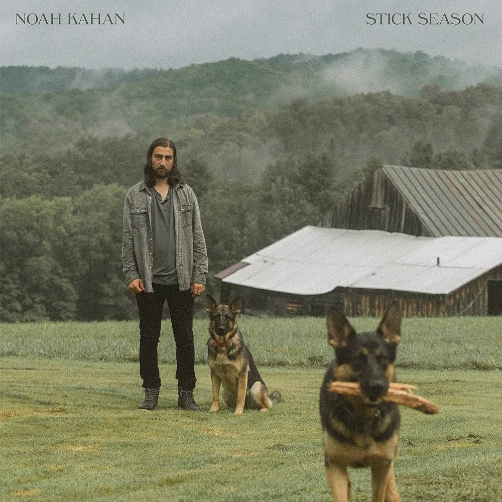 Stick Season[2 LP] review