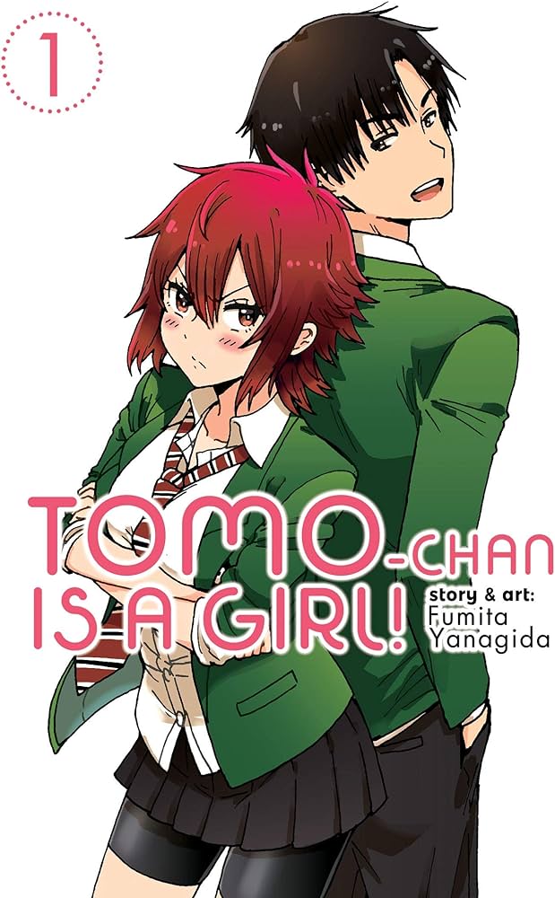 Tomo-chan is a Girl! Vol. 1 review