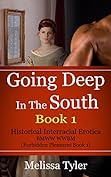 Going Deep In The South: Historical Interracial Erotica BMWW WWBM Review
