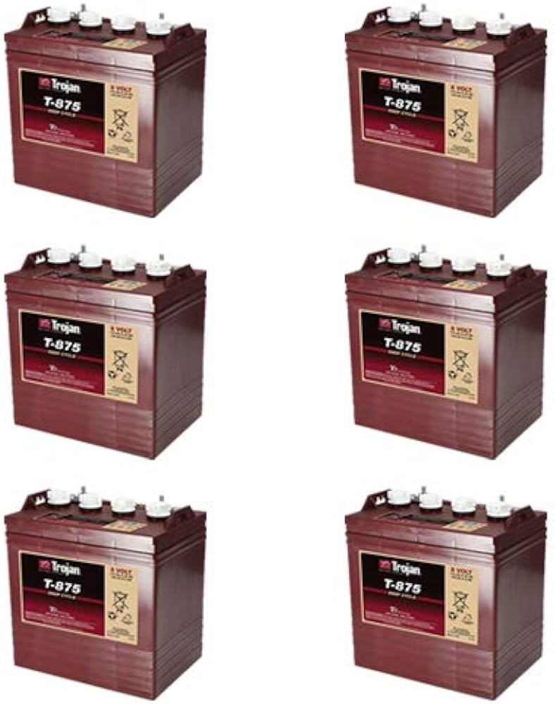 Trojan T875 8 Volt, 170 AH Deep Cycle Battery – 6 Pack review