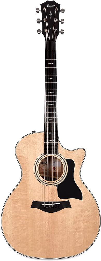 Taylor 314ce Acoustic-electric Guitar Review